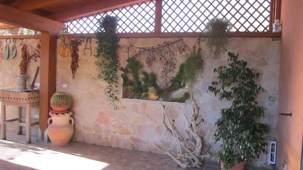 Viola Di Mare Rooms And Parking Termoli Exterior foto